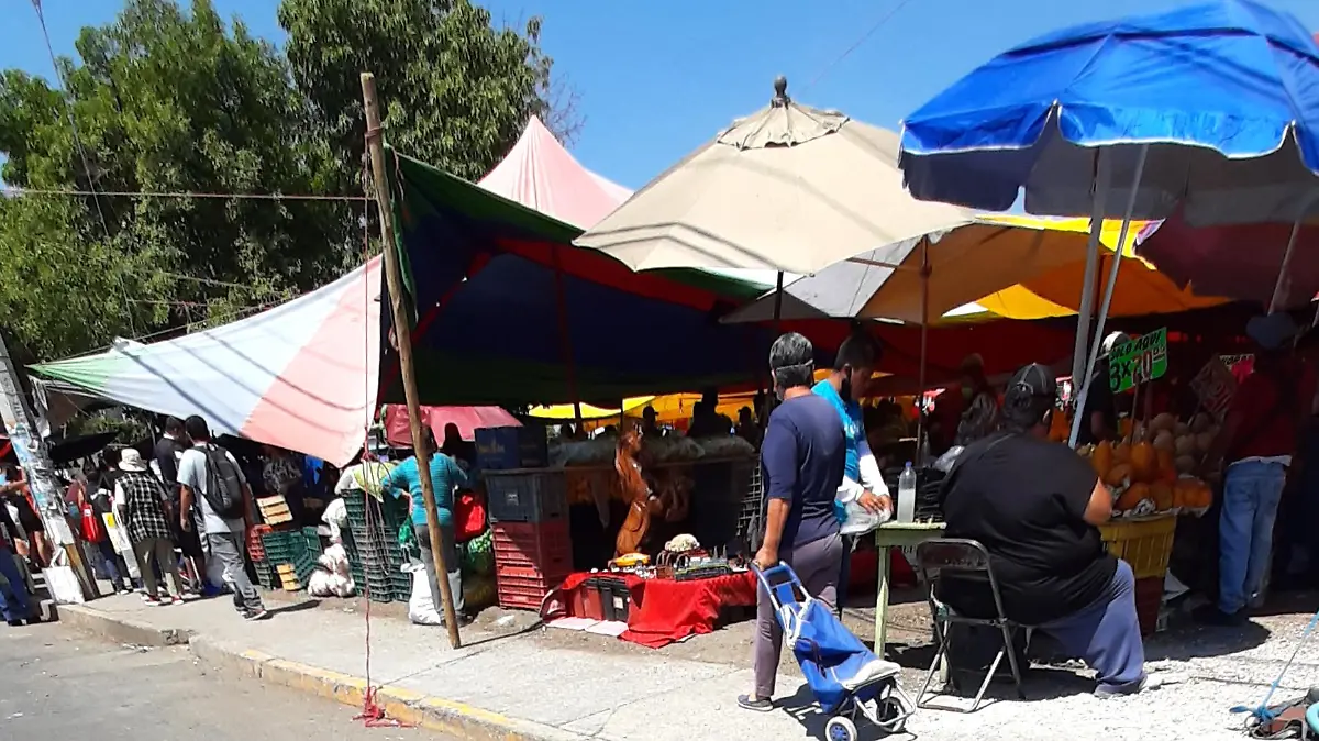 TIANGUIS SAN ISIDRO2